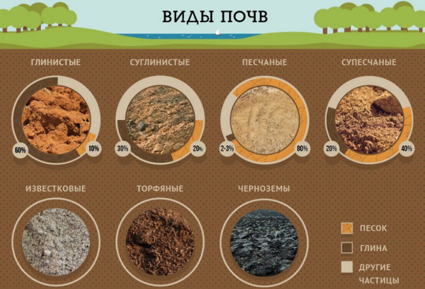 Види ґрунту Види ґрунту