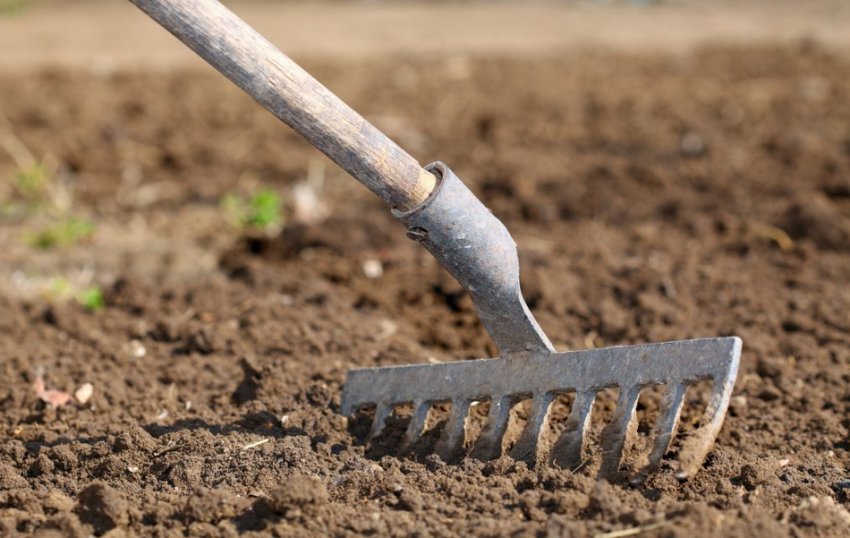 Рыхление Рыхление