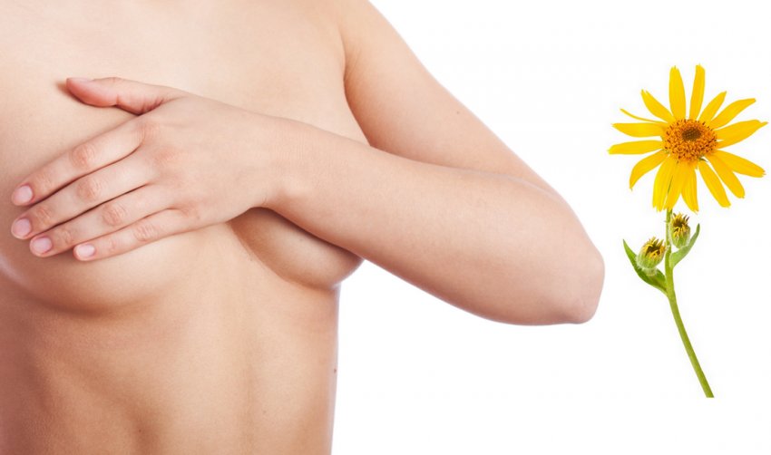 Лактостаз Лактостаз