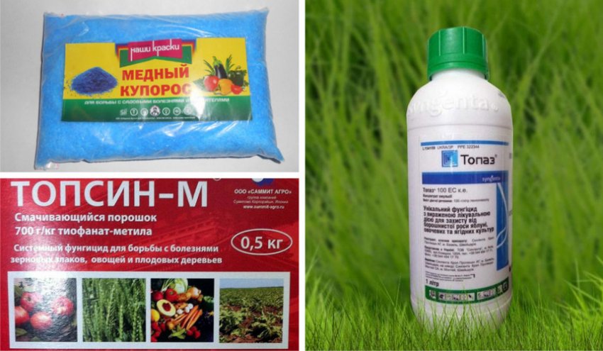 Топсин М Купить В Минске