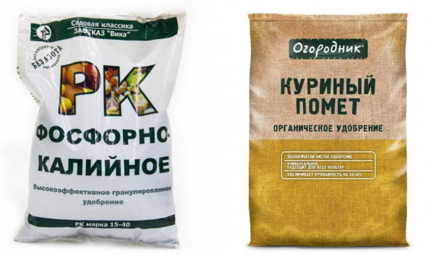 Підживлення для примули