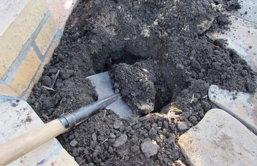 Выкопка лунки Выкопка лунки