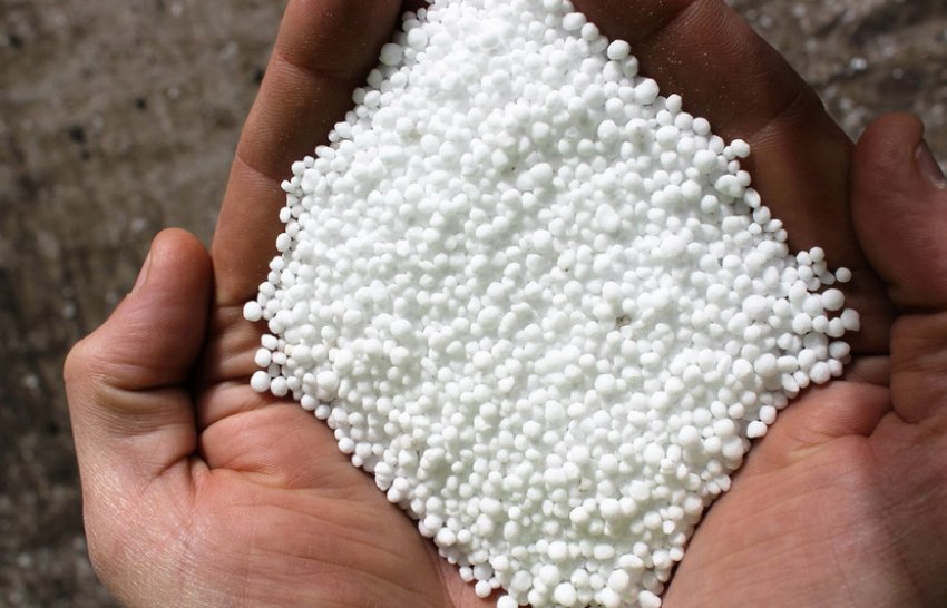 Мінеральні добрива Мінеральні добрива