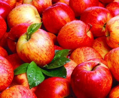 "Супер яблуко" з США завойовує світ