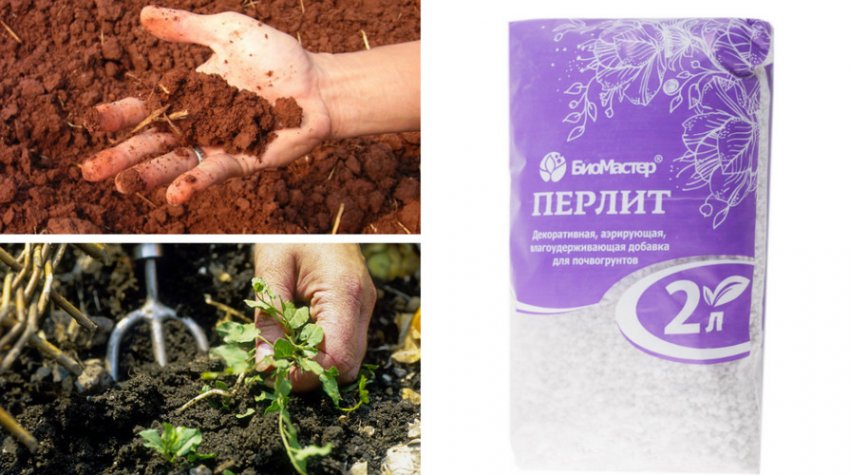 Підготовка ділянки до посадки