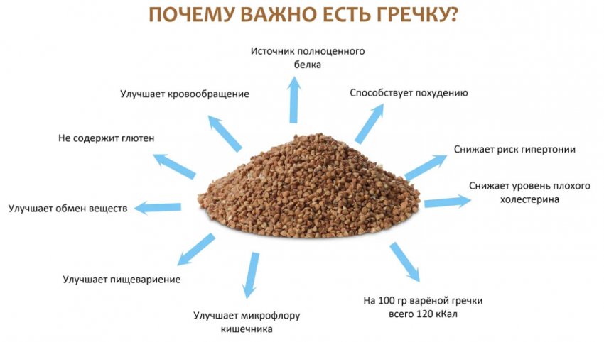 гречневая мука что это такое. Смотреть фото гречневая мука что это такое. Смотреть картинку гречневая мука что это такое. Картинка про гречневая мука что это такое. Фото гречневая мука что это такое