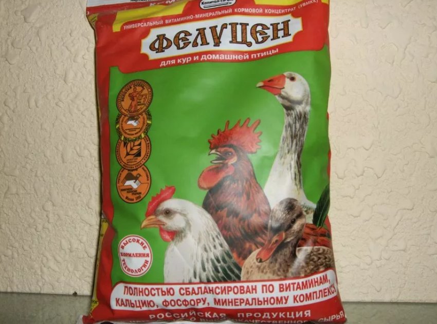 Что такое премикс в комбикорме для кур. Смотреть фото Что такое премикс в комбикорме для кур. Смотреть картинку Что такое премикс в комбикорме для кур. Картинка про Что такое премикс в комбикорме для кур. Фото Что такое премикс в комбикорме для кур