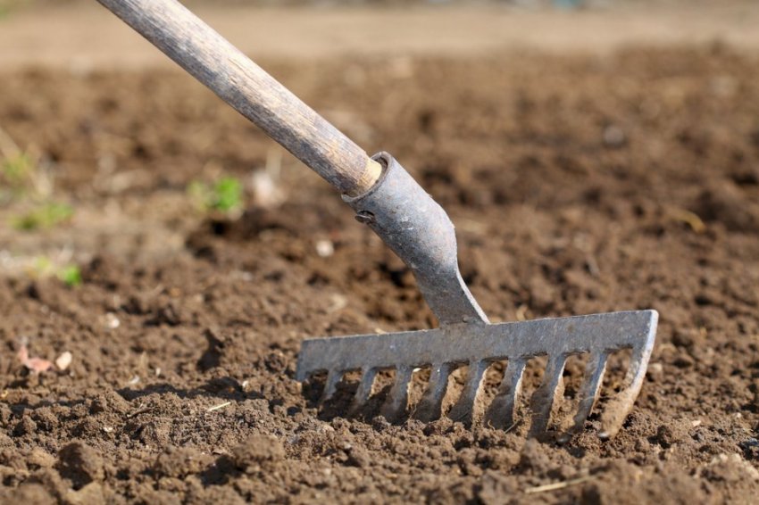 Рыхление Рыхление