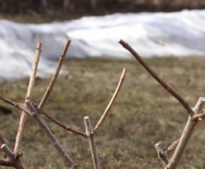 Підготовка гідротензії до зими