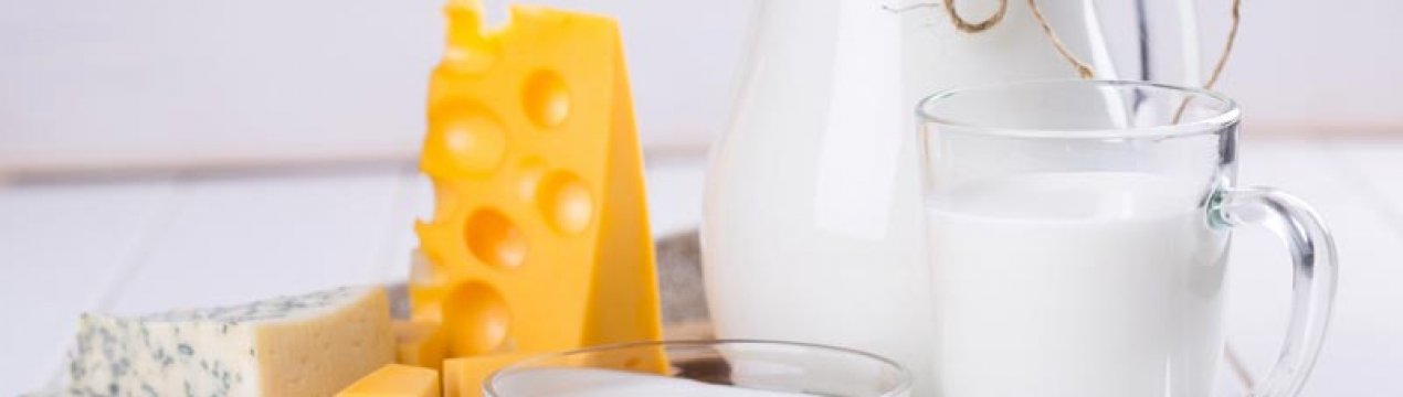 У Житомирській області розвиваються сімейні молочні ферми