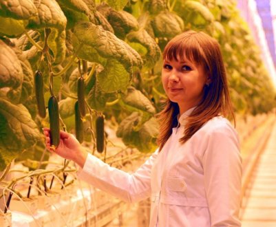Оранжерейний комплекс "Цілорічний" з Ленінградської області виробляє 6 тисяч тонн продукції щороку