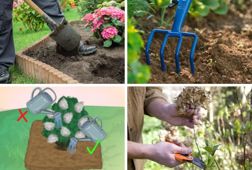 Профілактичні заходи в боротьбі з хворобою