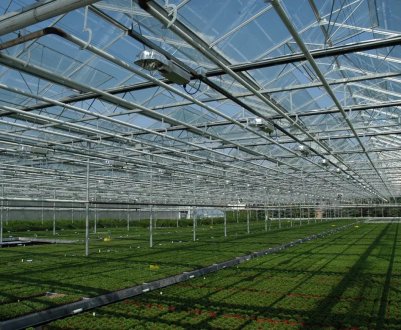 Монреаль стане домом найбільшої в світі теплиці на даху