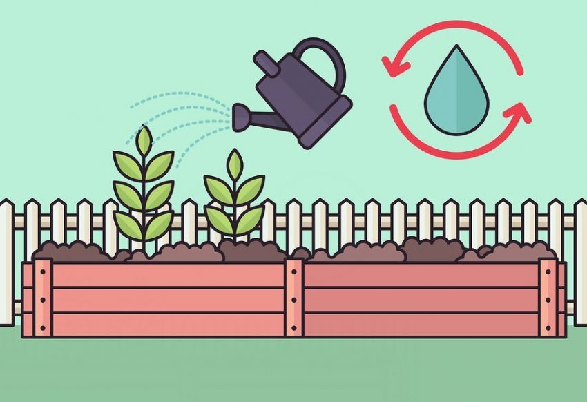 Полив Вейгели Полив Вейгели