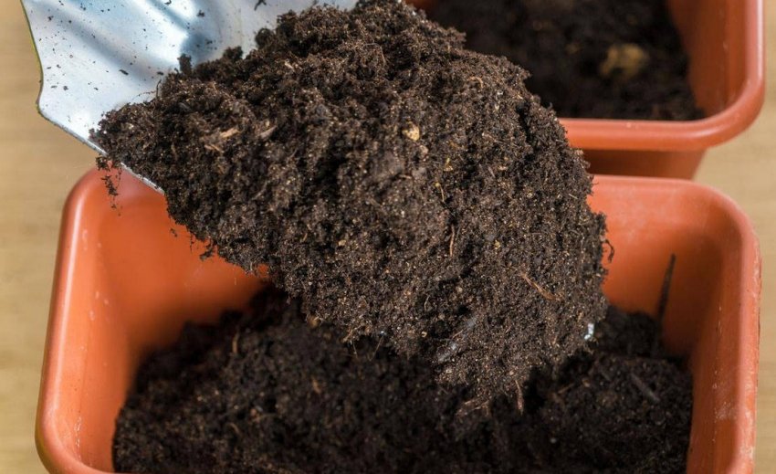 Ґрунт для посадки