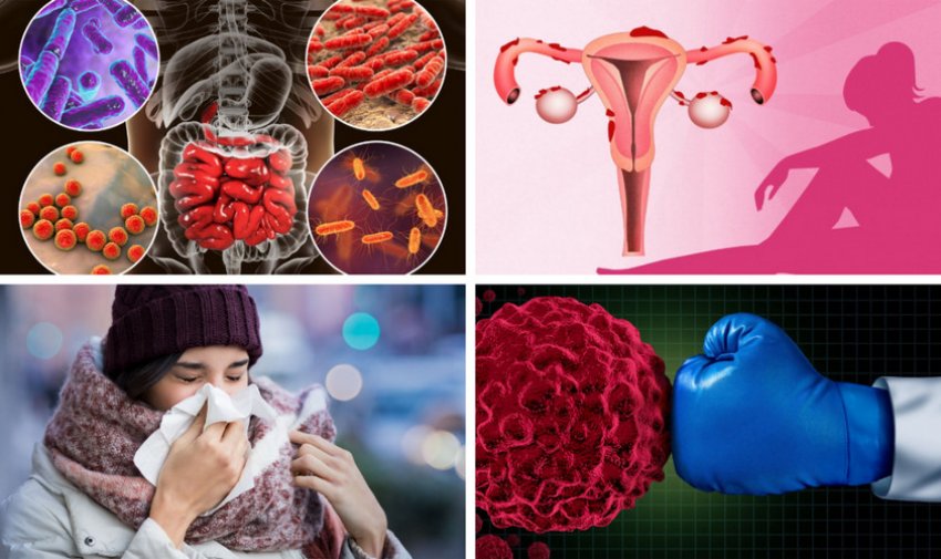 Показання для вживання чаю з бадану