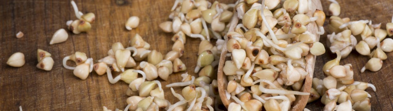 Чим корисна пророщена зелена пророщена гречка для організму людини