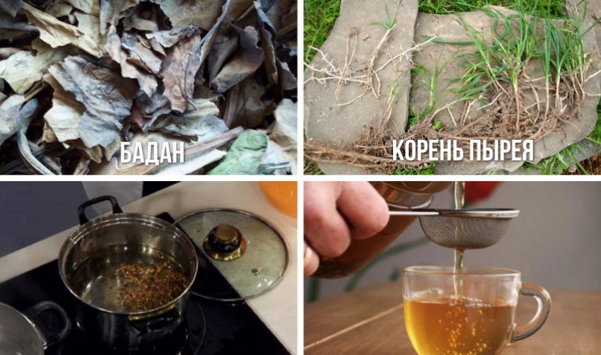 Приготування чаю з коренем пирею