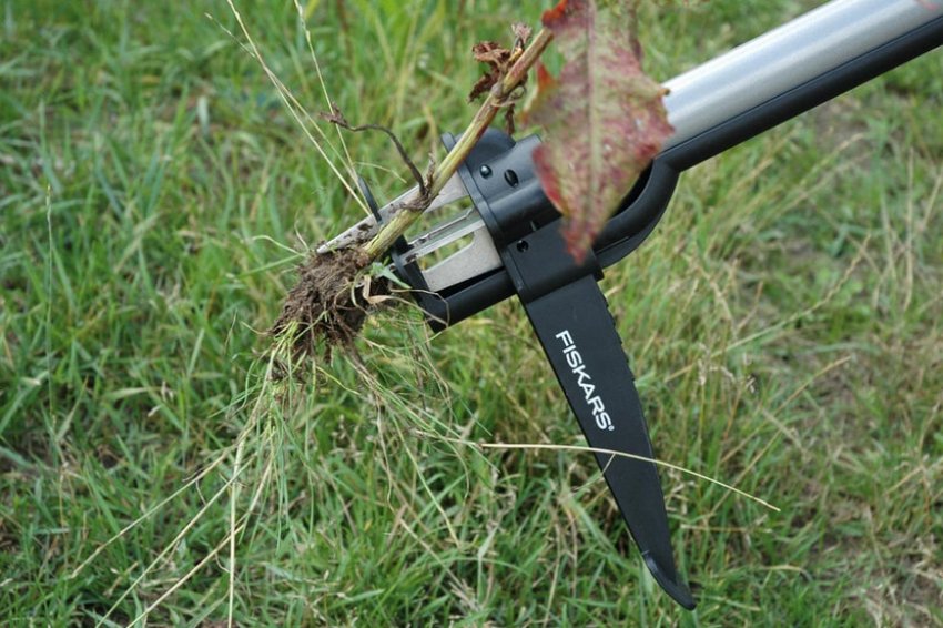 Видалення бур'янів Видалення бур'янів