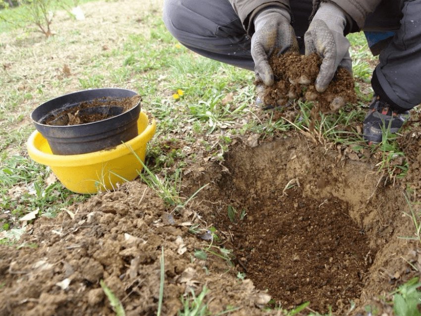 Підготовка ґрунту
