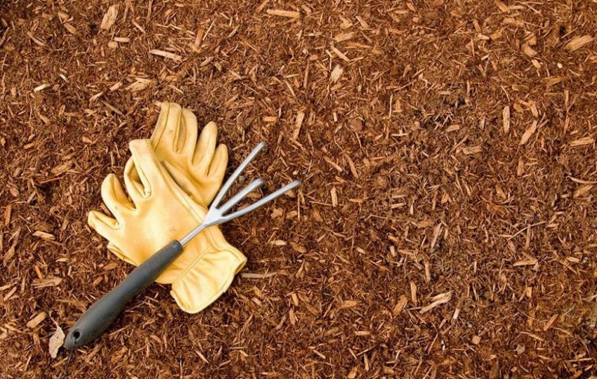 Мульчування