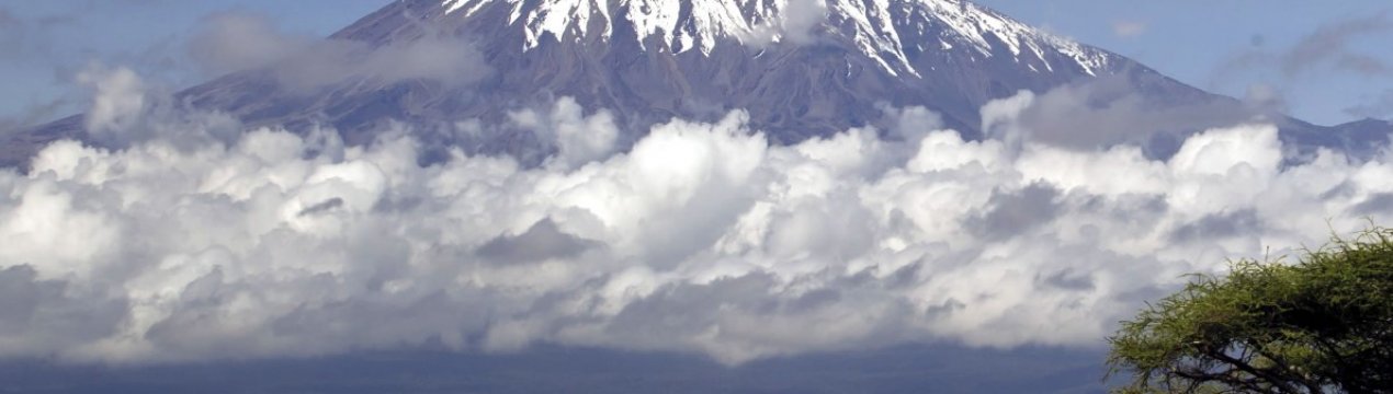 Органічні ферми дісталися до гори Кіліманджаро