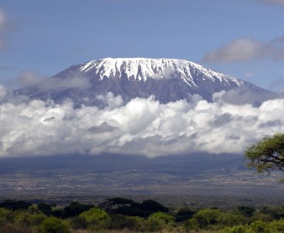 Органічні ферми дісталися до гори Кіліманджаро