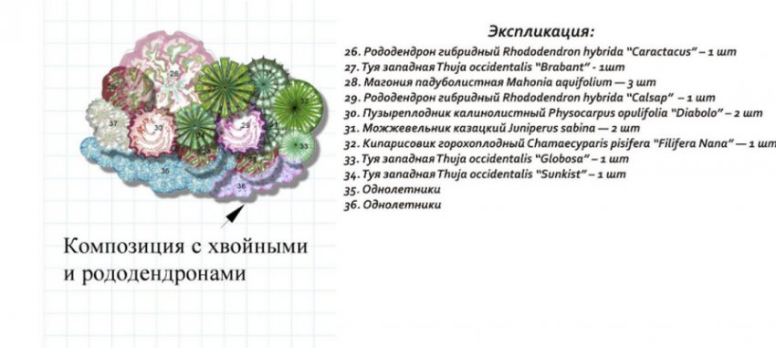 Рододендрон в ландшафтном дизайне с чем сочетается. Смотреть фото Рододендрон в ландшафтном дизайне с чем сочетается. Смотреть картинку Рододендрон в ландшафтном дизайне с чем сочетается. Картинка про Рододендрон в ландшафтном дизайне с чем сочетается. Фото Рододендрон в ландшафтном дизайне с чем сочетается