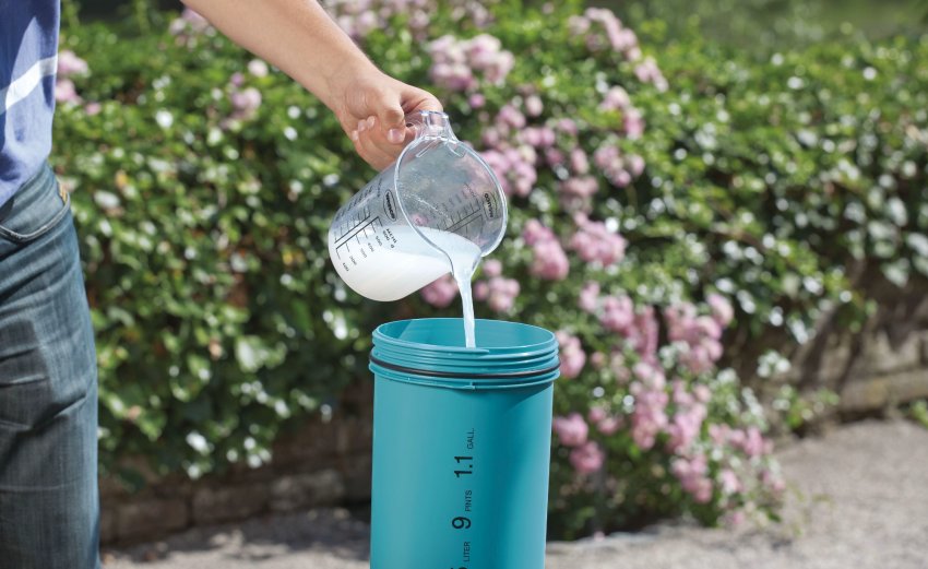 Підживлення гортензії Підживлення гортензії