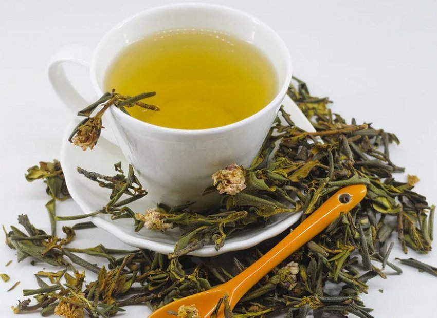 Отвар из рододендрона Отвар из рододендрона