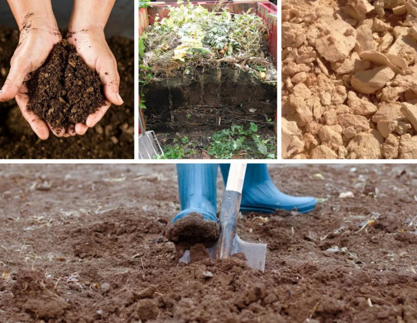 Подготовка почвы к посадке Подготовка почвы к посадке