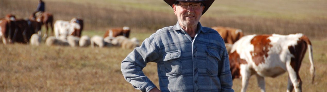 Берлін заблокований тракторами: протестують фермери