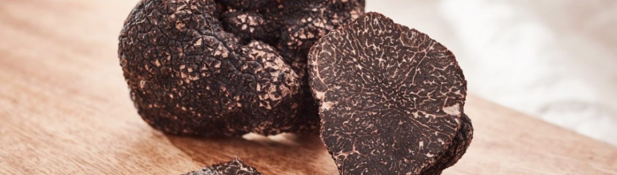 Перша в країні ферма трюфелів відкрилася в Норвегії