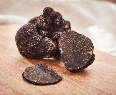 Перша в країні ферма трюфелів відкрилася в Норвегії