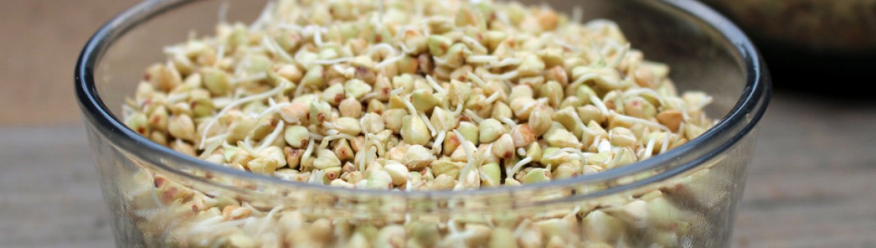 Особливості пророщеної зеленої гречки