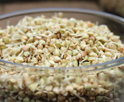 Особливості пророщеної зеленої гречки