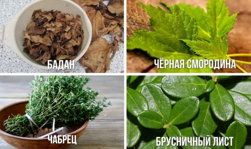 Інгредієнти для чаю