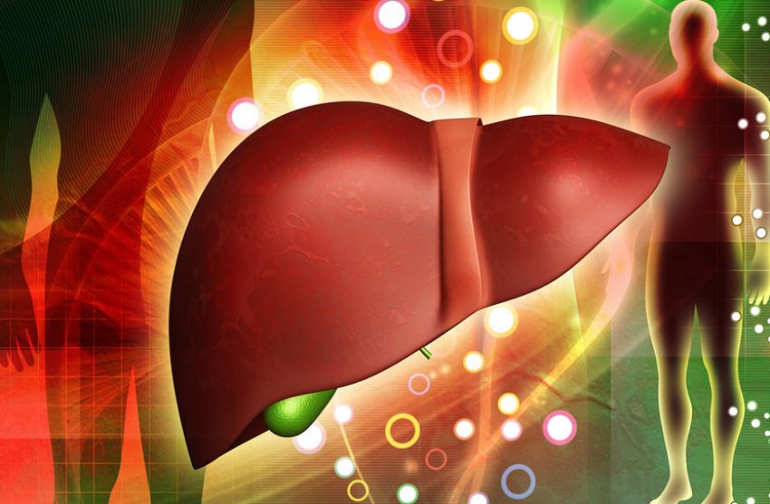 Здорова печінка