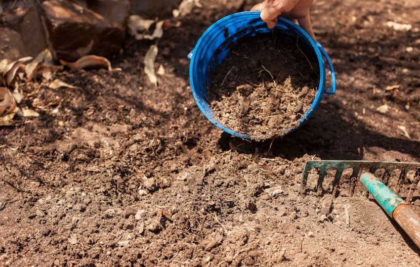 Почва для посадки Почва для посадки