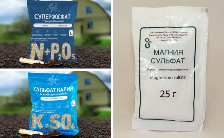 Мінеральні добрива для ґрунту Мінеральні добрива для ґрунту