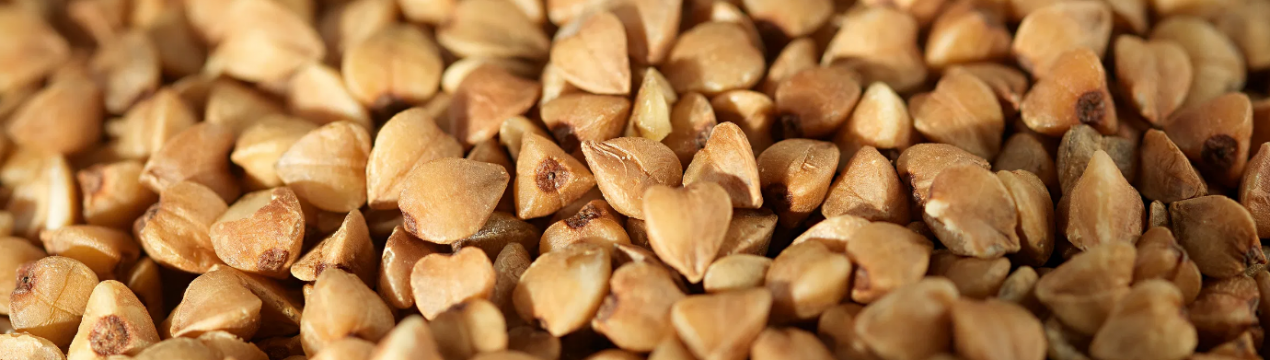 Особливості вживання гречки при хворобі печінки