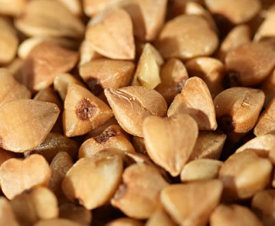 Особливості вживання гречки при хворобі печінки