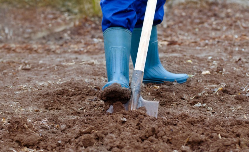 Перекопування ґрунту