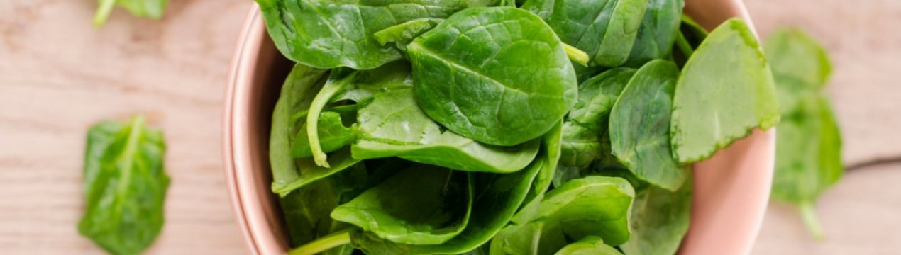 Турецьких фермерів навчатимуть вирощувати шпинат