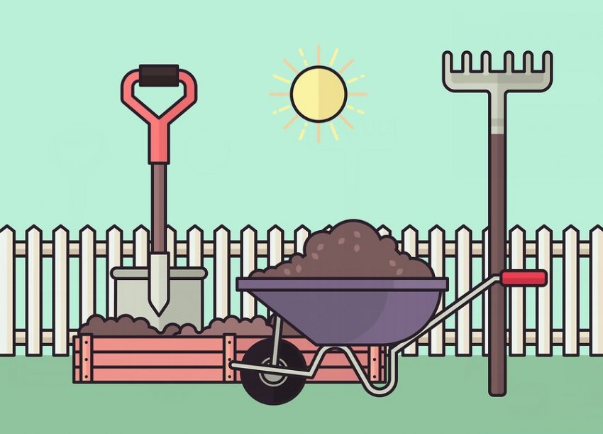 Почва для посадки вейгелы Почва для посадки вейгелы