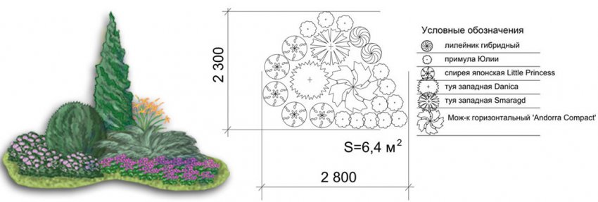 Композиції з туями та черемшем
