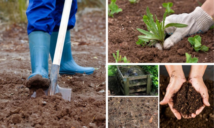 Підготовка ґрунту Підготовка ґрунту