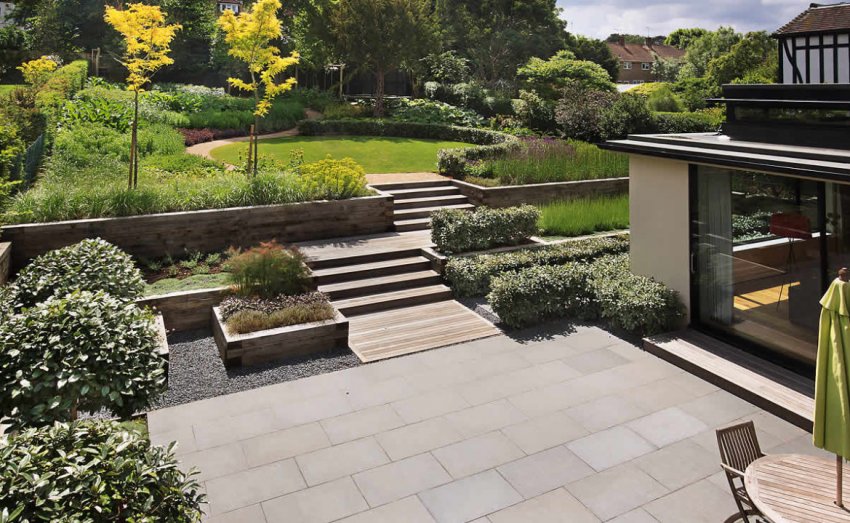 Рослини в стилі модерн Рослини в стилі модерн