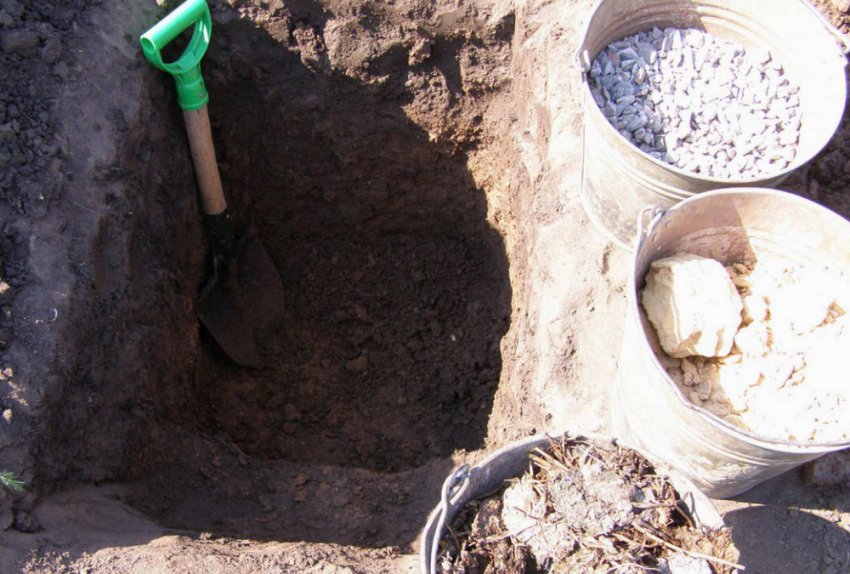 Підготовка ями для посадки