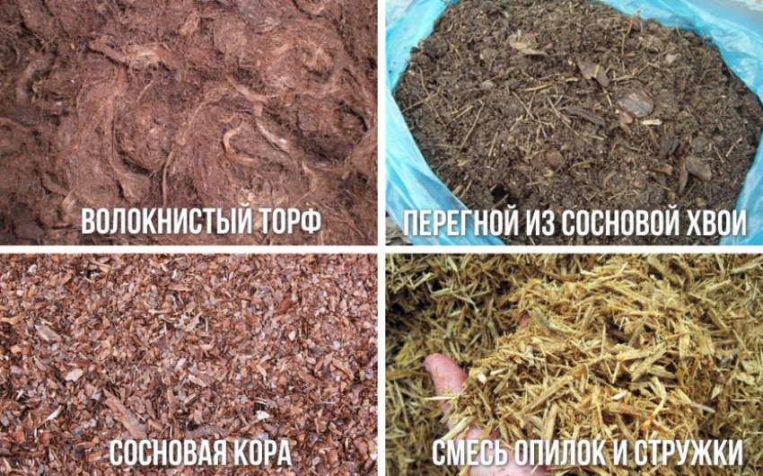 Компоненти для ґрунту Компоненти для ґрунту